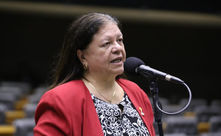 Discussão e Votação de Propostas Legislativas. Dep. Laura Carneiro (PSD - RJ)