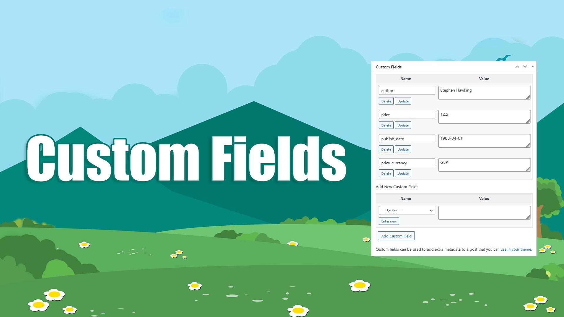 Campos personalizados do WordPress com Cyberseo Pro