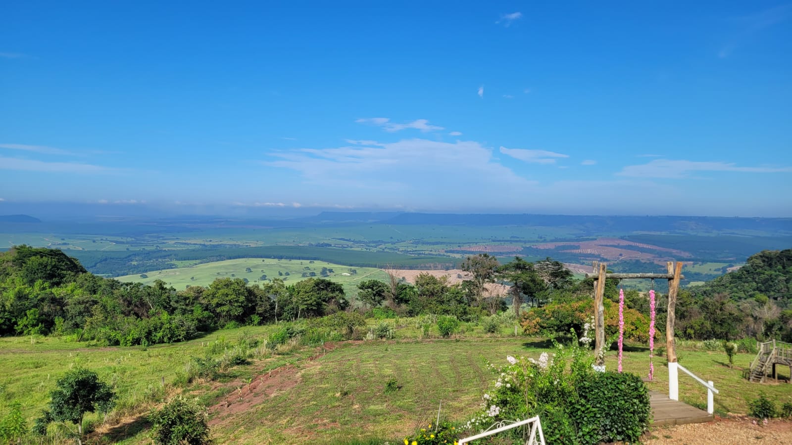 Com o apoio do Sebrae-SP, Café de Torrinha conquista selo de Indicação Geográfica | ASN São Paulo