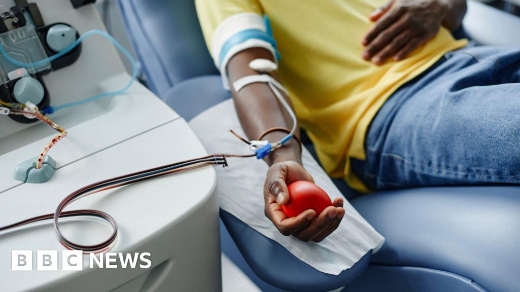 Austrália eleva a proibição de doação de plasma para homens gays e bissexuais no mundo primeiro