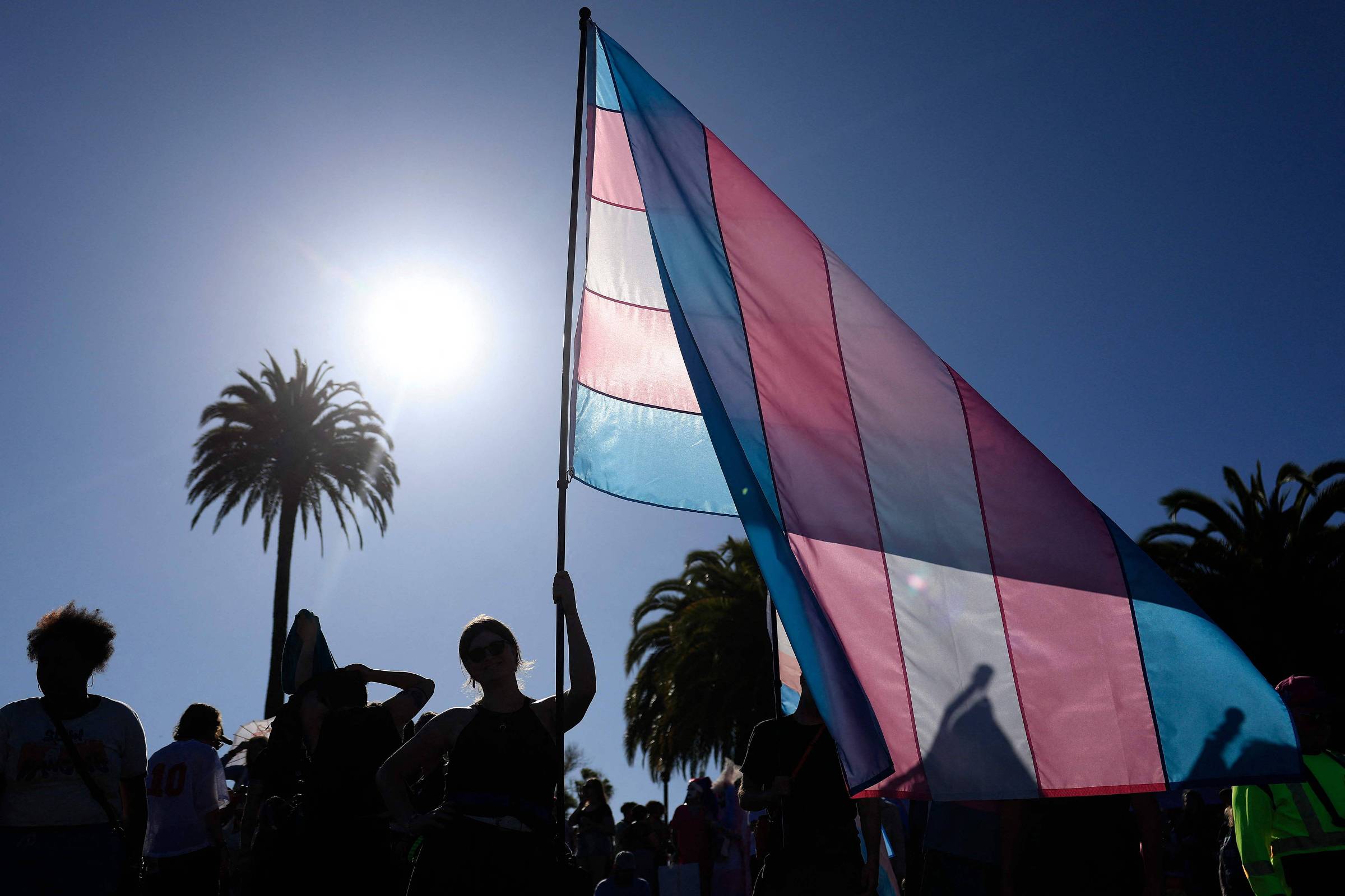 A imagem mostra uma silhueta de uma pessoa segurando uma bandeira transgênero, que é composta por faixas horizontais nas cores azul, rosa e branco. Ao fundo, há palmeiras e um sol brilhante, criando um contraste forte com a figura em primeiro plano. A cena parece ser de um evento ao ar livre, possivelmente um protesto ou uma celebração.