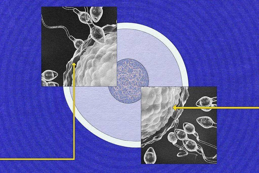 A imagem apresenta uma ilustração com fundo azul, mostrando uma célula central em um círculo claro. Dois quadros menores, em preto e branco, estão destacados, mostrando espermatozoides em movimento. Linhas amarelas conectam os quadros à célula central, sugerindo uma relação entre eles.