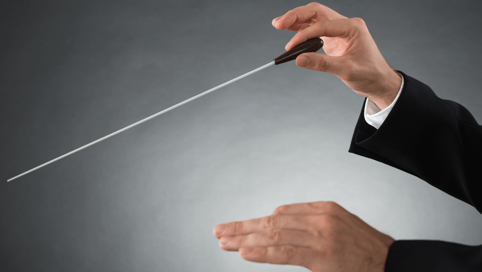 Martech Maestros se concentra nos processos internos - e impulsiona o sucesso externo
