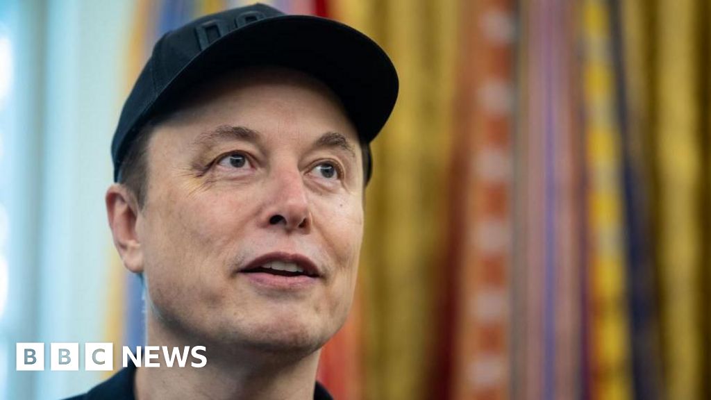 Elon Musk diz que está lançando um novo partido político