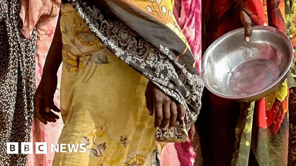 Os residentes da cidade de El-Fasher sitiados enfrentam fome, alerta da ONU