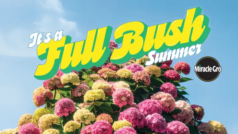 Campanha Trail: Miracle-Gro convida os jardineiros a ter um 'verão completo de Bush'
