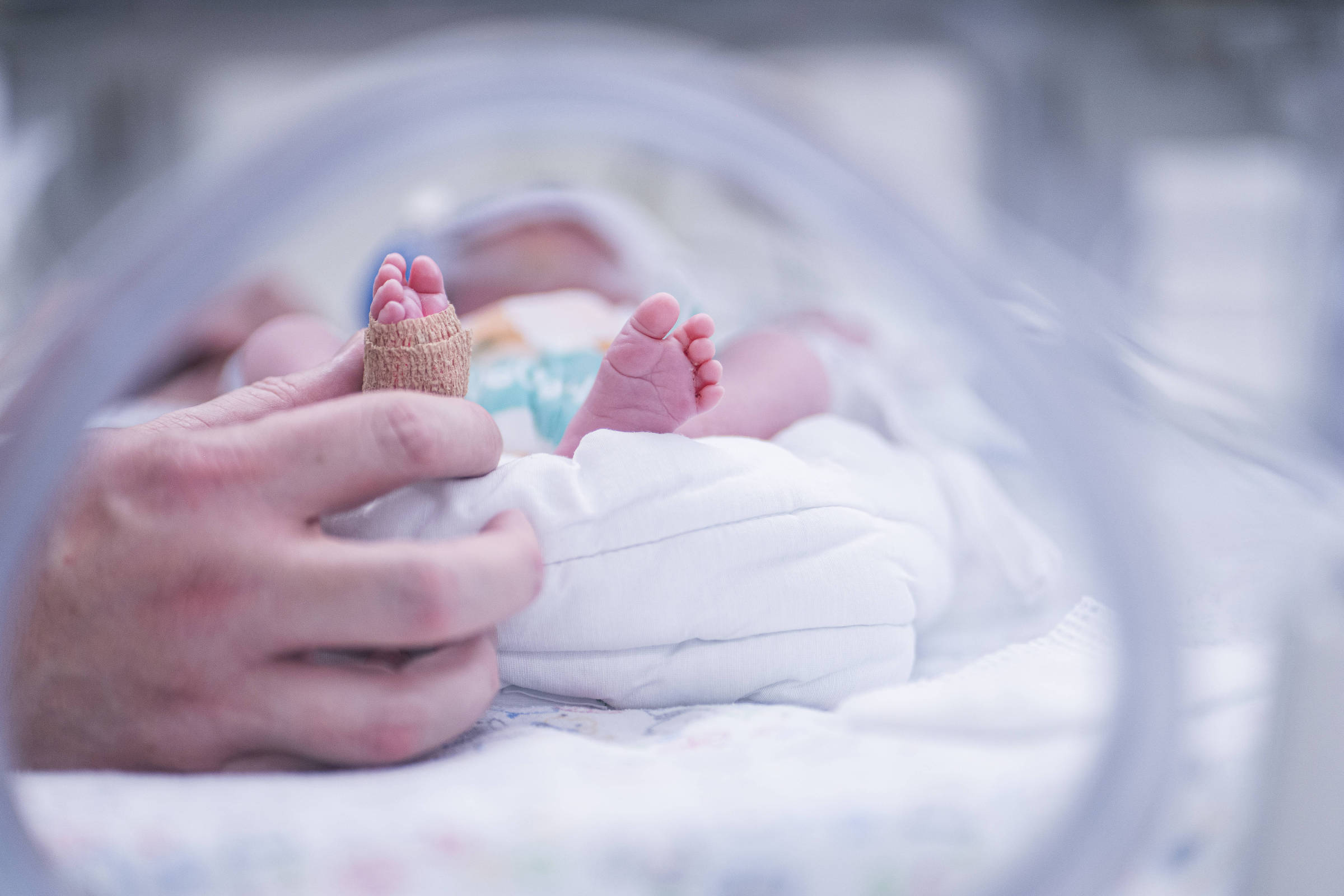 A imagem mostra uma mão adulta segurando o pé de um bebê. O bebê está envolto em um cobertor branco, dentro de uma UTI neonatal. O foco está na mão e no pé do bebê, que está com uma bandagem. O fundo é desfocado.