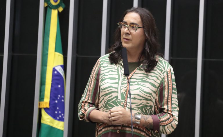 Deputada Duda Salabert (PDT-MG) fala no Plenário da Câmara dos Deputados