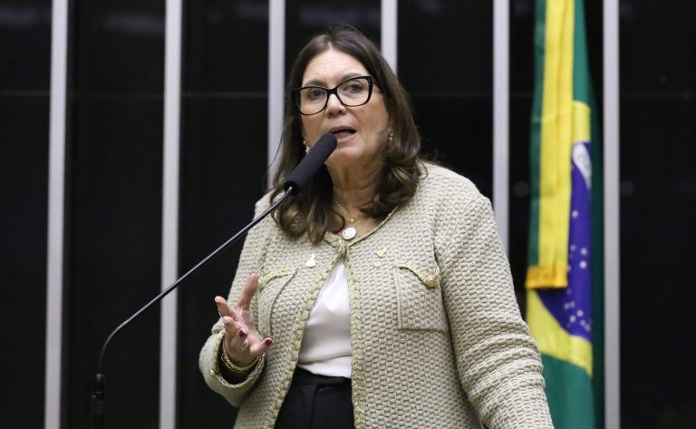 Deputada Bia Kicis (PL-DF) fala no Plenário da Câmara dos Deputados