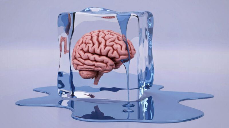 Alunos em resposta congelada: tudo o que você precisa saber