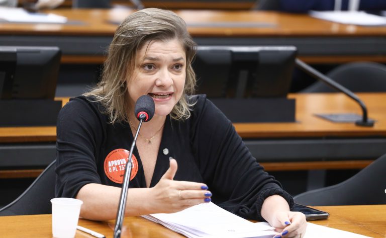 Audiência pública - Piso Salarial Nacional para os Profissionais da Educação Básica (PL 2531/21 e 3817/20). Dep. Professora Luciene Cavalcante (PSOL-SP).