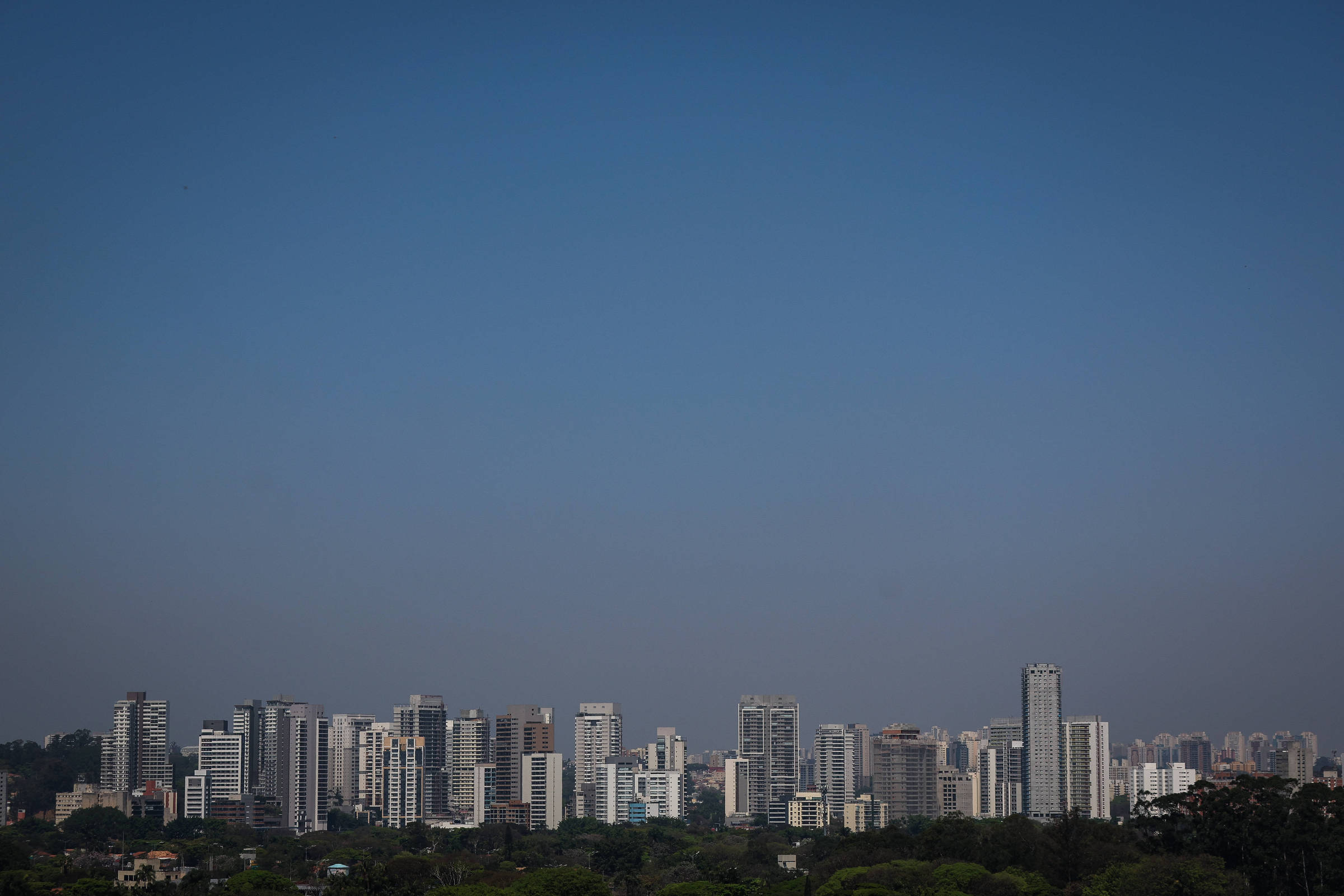 Linha do horizonte mostra vários prédios residenciais altos e modernos contra um céu azul claro sem nuvens. Vegetação densa aparece na parte inferior da imagem.