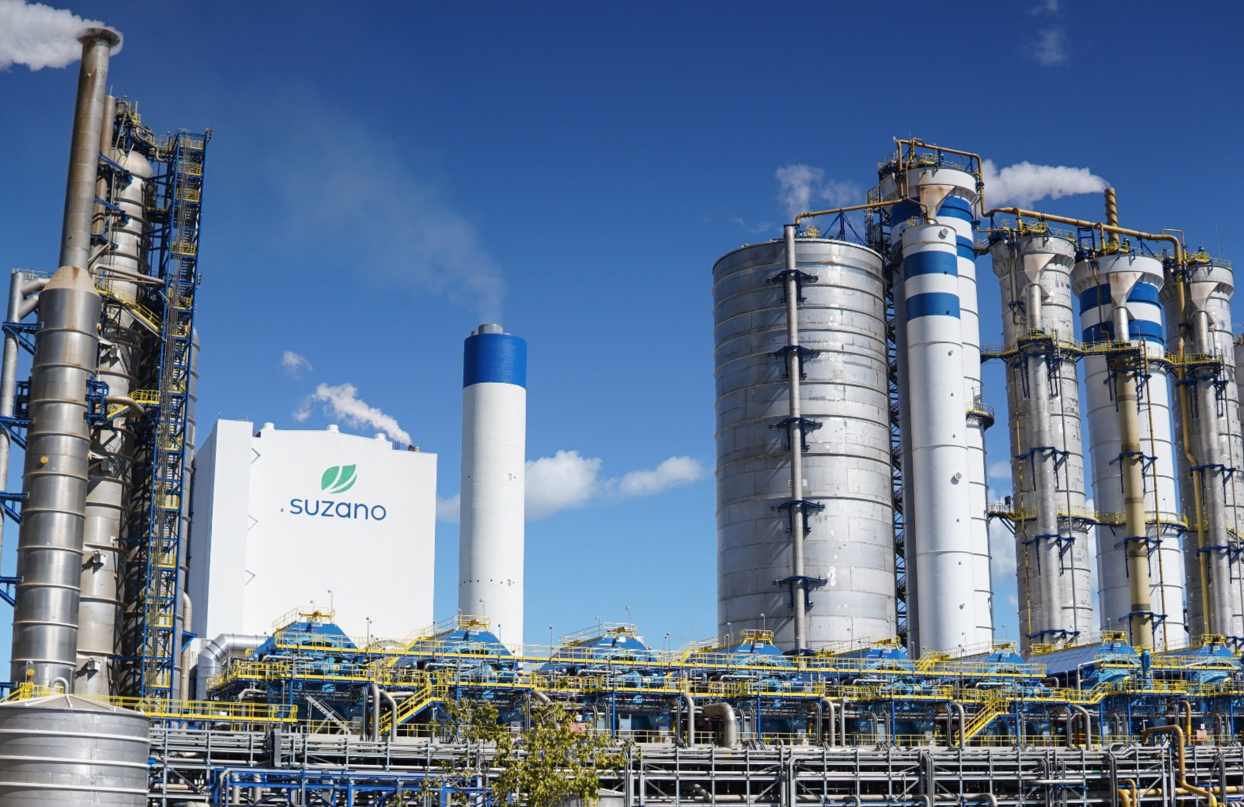 Suzano abre inscrições para Programa de Estágio Superior