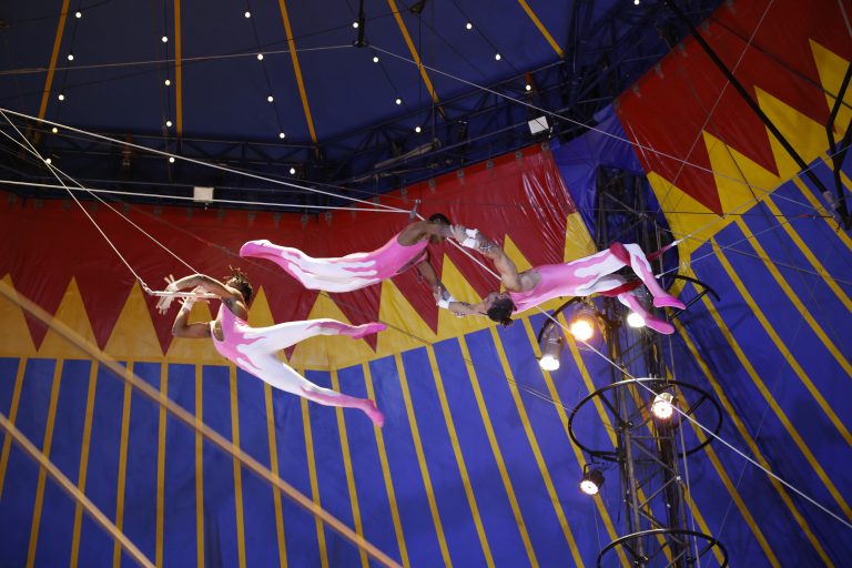 Circo ganha reconhecimento em lei como manifestação da cultura nacional