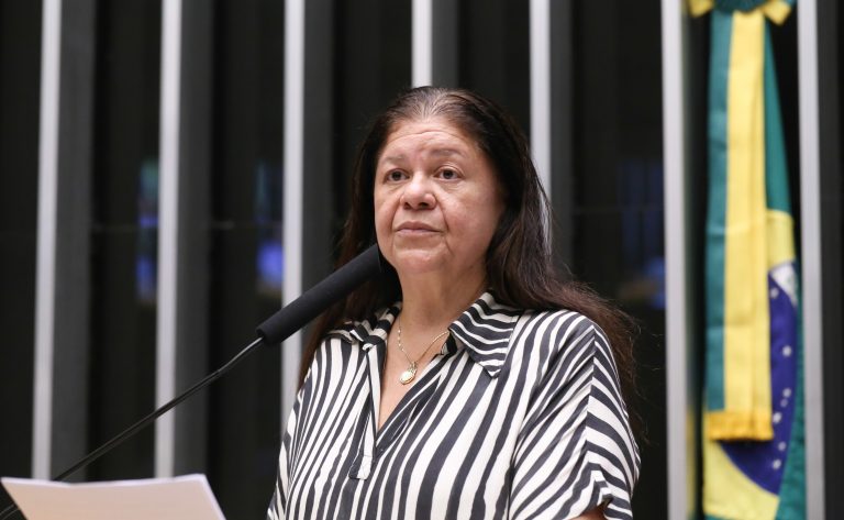 Deputada Laura Carneiro (PSD-RJ) no Plenário da Câmara dos Deputados