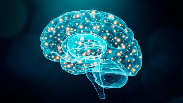 Neurologista revela os 5 truques para o "cérebro demorar a envelhecer"