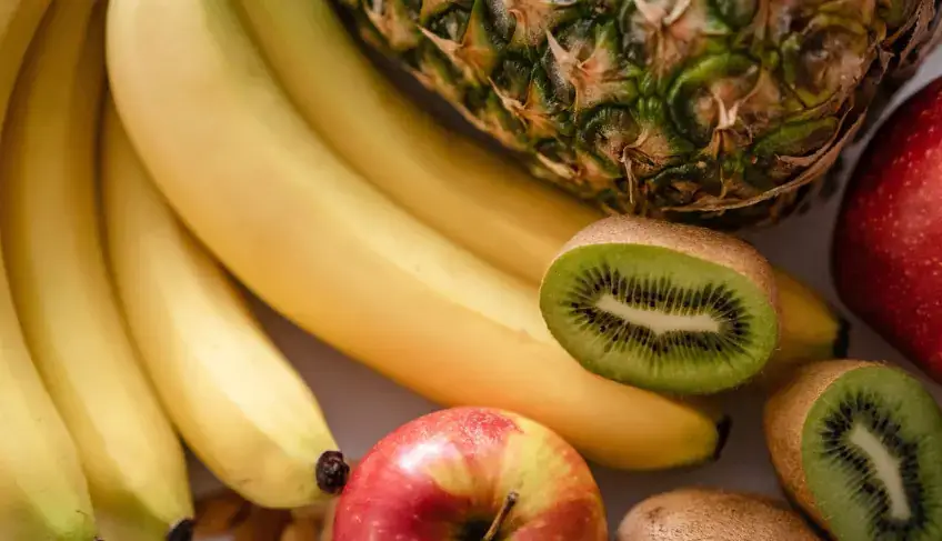 Dia de Campo Fruticultura do Sebrae-SP leva inovação, tecnologia e novas oportunidades aos produtores rurais de Bauru | ASN São Paulo