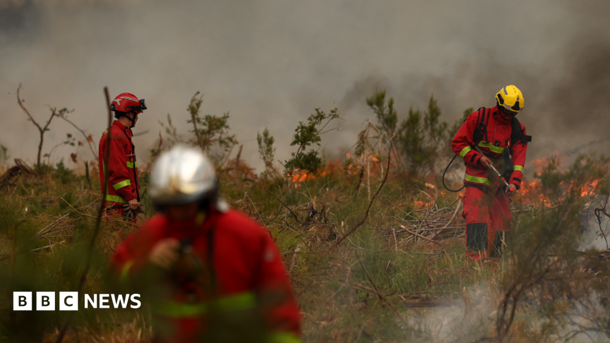 Firefighters of Paris Fire Brigade survey the scene amid the smoke and fire in Marcheprime west of Bordeaux on July 26, 2026 as a wildfire has been ravaging the forest north of the Arcachon Basin (Gironde) since July 22. The fire that has engulfed the area around the Arcachon Basin and is now threatening the outskirts of the Bordeaux metropolitan area has destroyed 42,000 hectares of