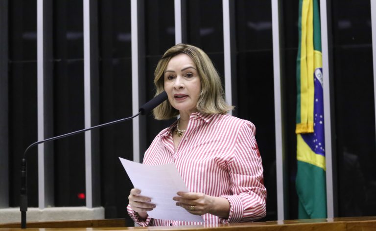 Comissão aprova projeto que cria sistema de incentivo à produção sustentável na Amazônia